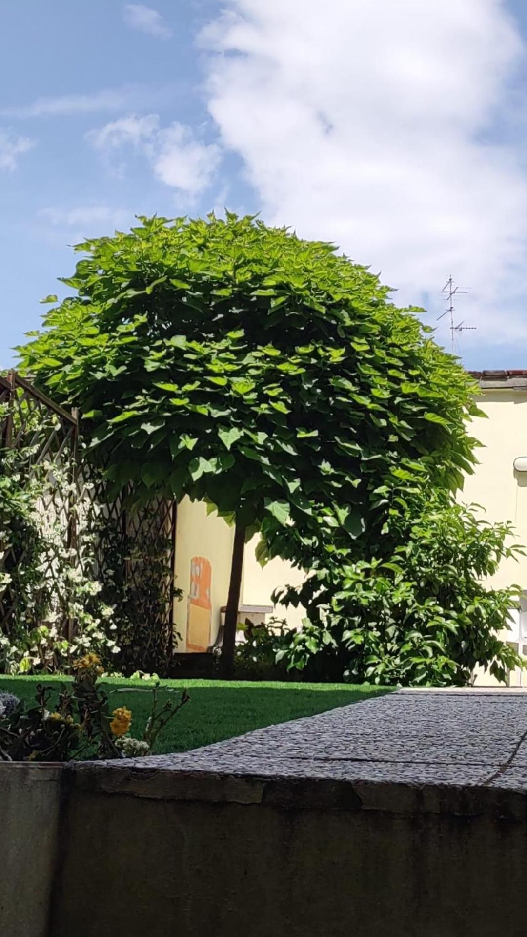 Movie Star Apartment With Garden Firenze Kültér fotó